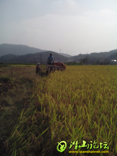 IMG20141002094127.jpg
