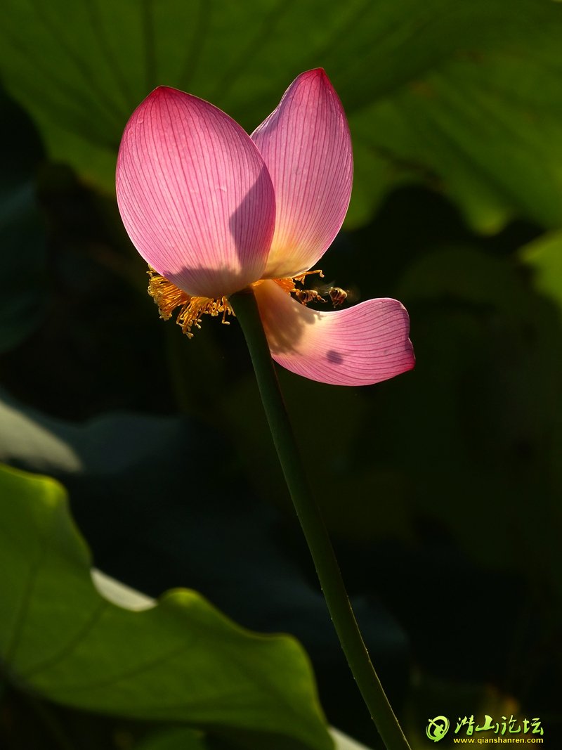 L1010838.JPG