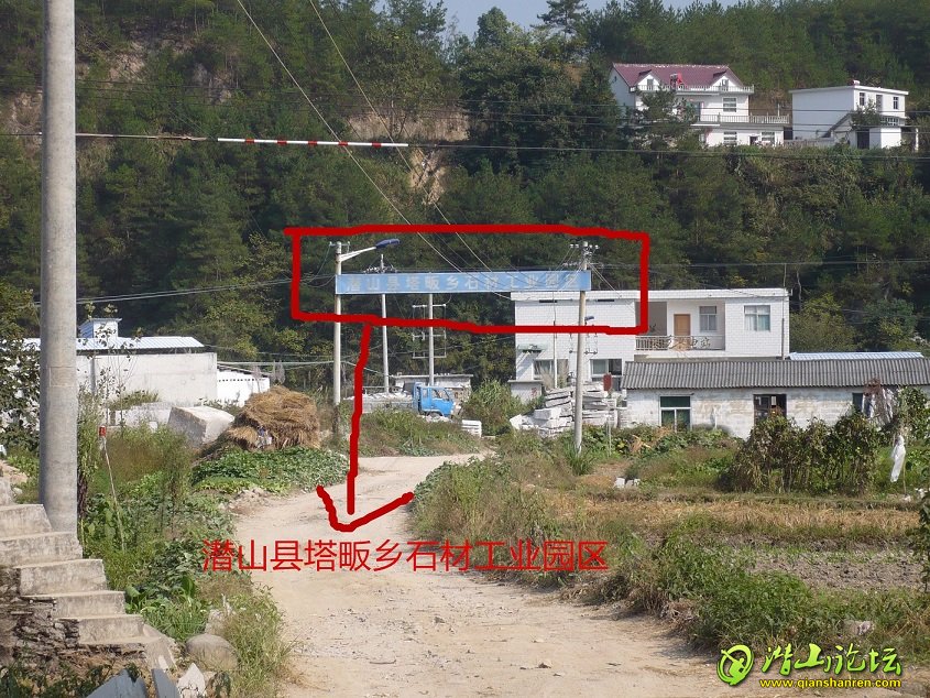P1050201_.jpg