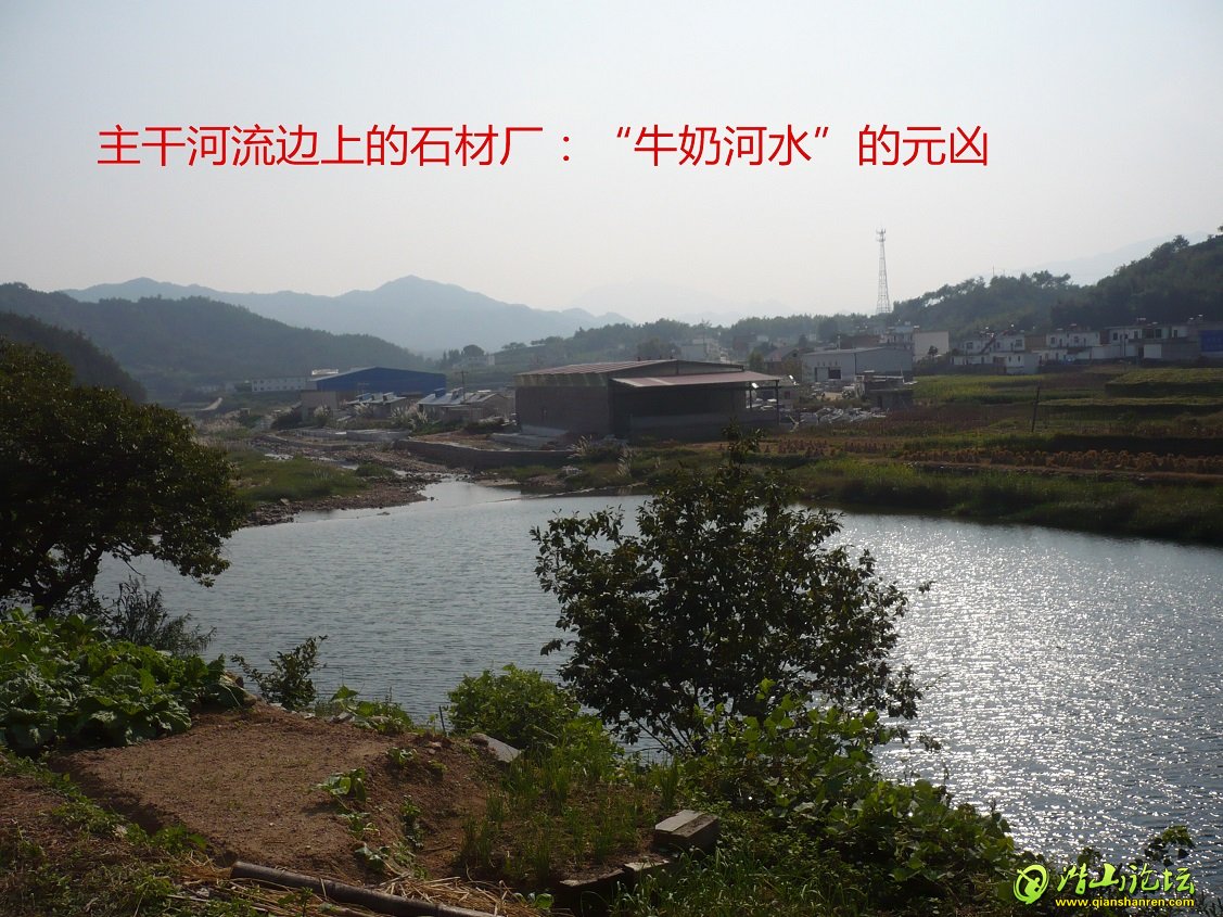 P1050205_.jpg