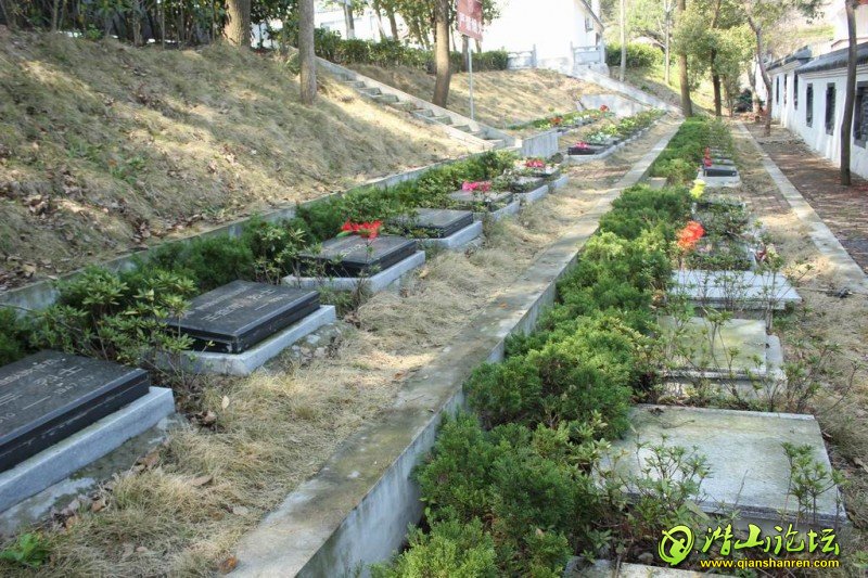 ������С IMG_0477.JPG