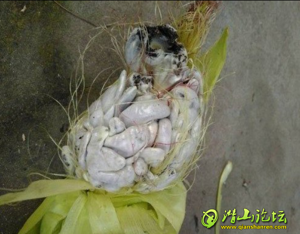 �ģ�һ������Ů�����ߴ����ִ���ȣ������巿