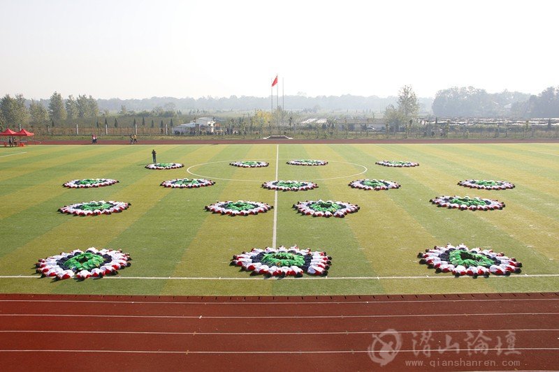_MG_8423_.jpg