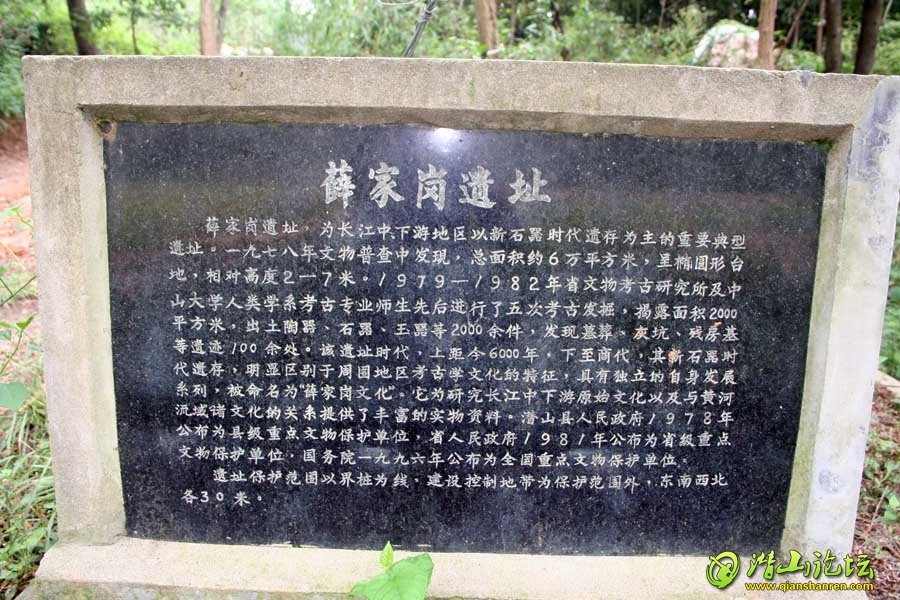 192013updr1gg3gldl99rt.jpg