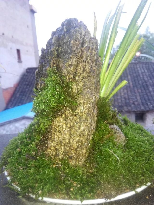 ·.jpg