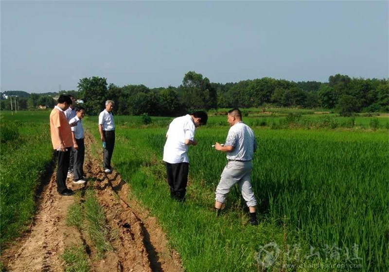 我县种粮大户与农保公司减灾救灾对接-今日潜