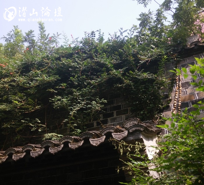 IMG_20160913_095315.jpg