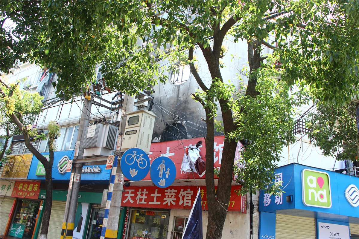 IMG_6203 - .JPG