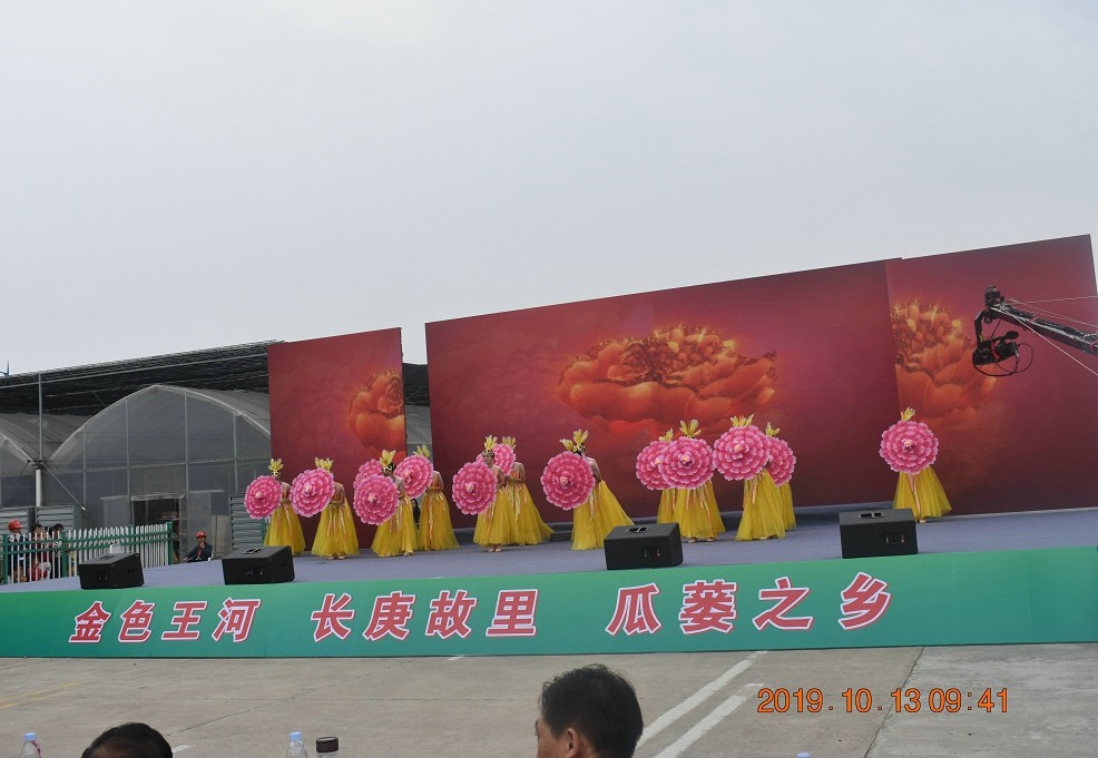 DSC_0016.jpg