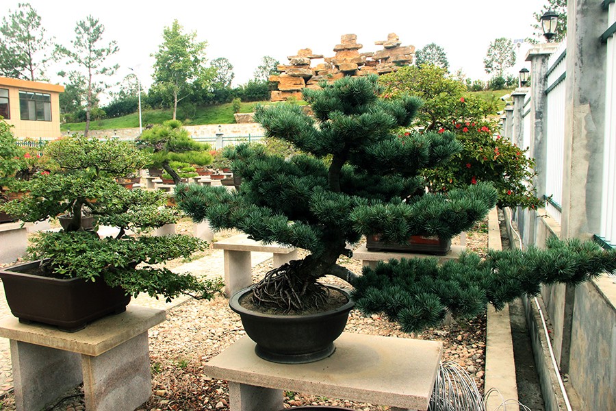 IMG_7700С.jpg