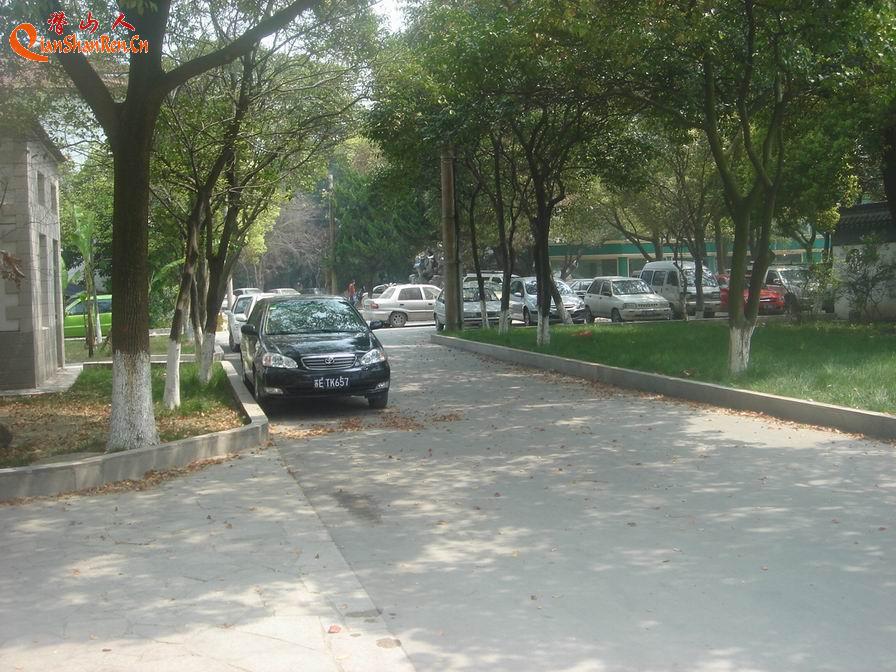 ����������ͣ������