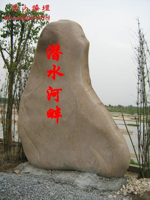 Ƭ 1191.JPG
