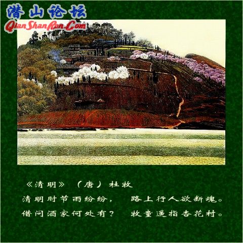 fe436e08a8da3366e033c92210003a56.jpg