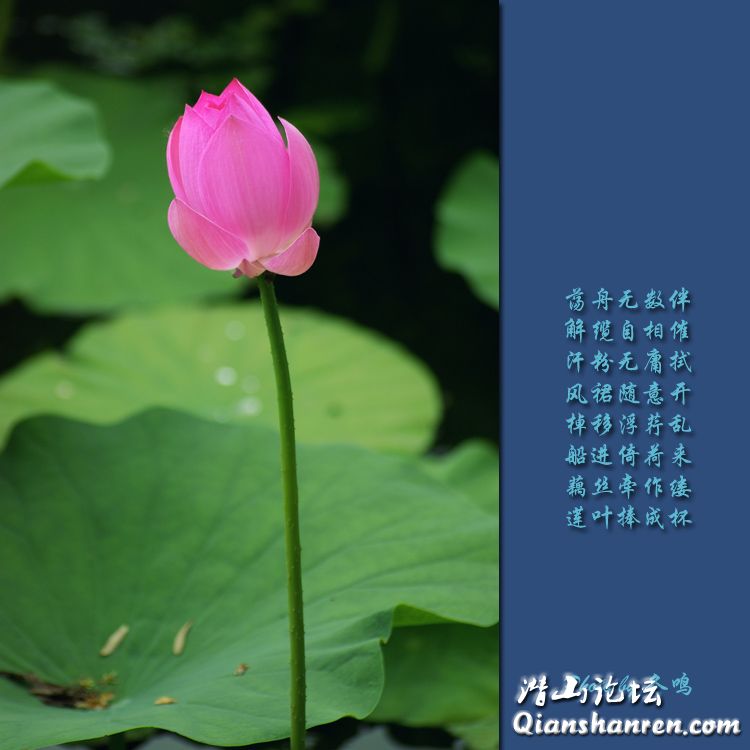 f067fe56cad3ec756c34f5f1dd0a073e.jpg