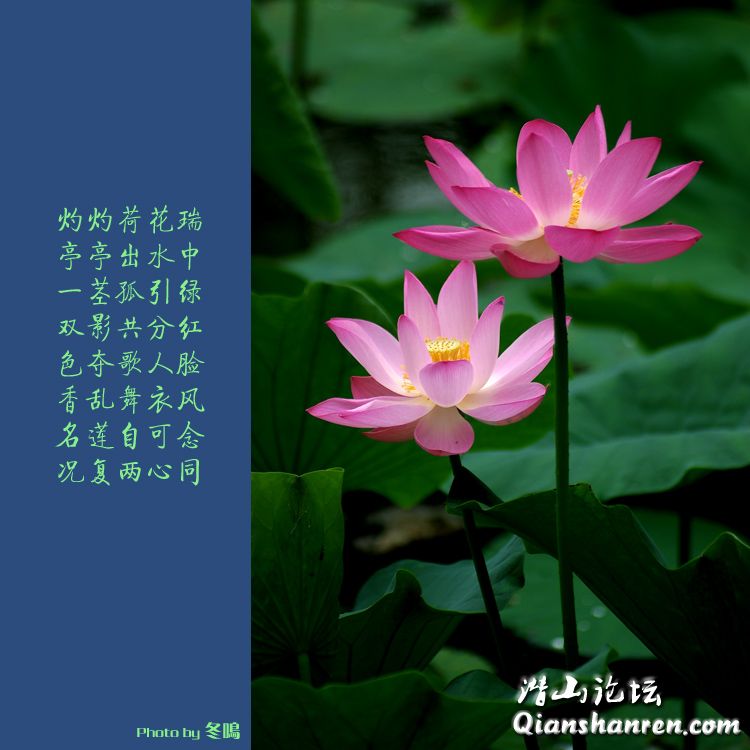7f232445373d650cfad993b8caf90a9a.jpg