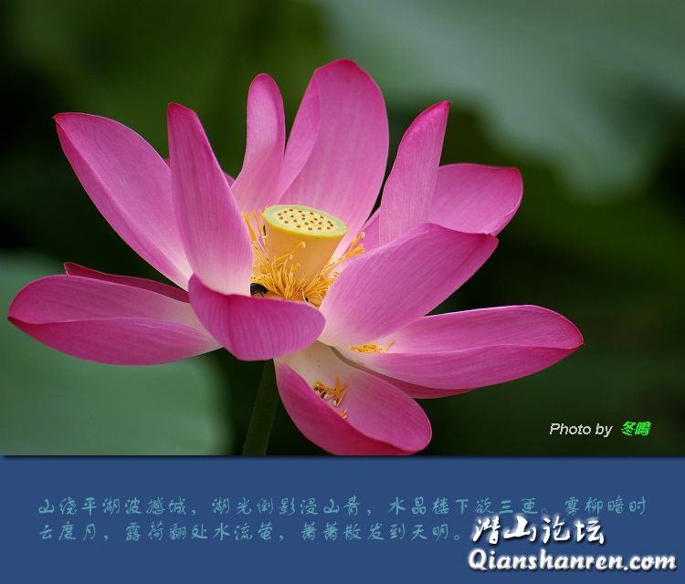 82f8c27a6f574e9eafc823aafc32ac97.jpg