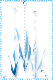 2004111310435344955.gif