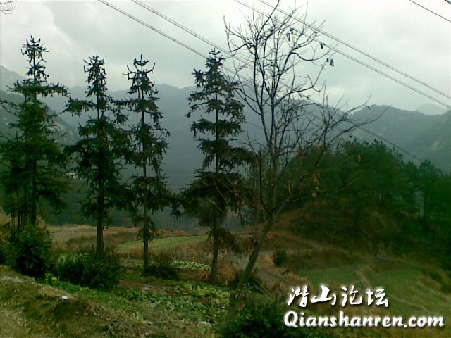 20090130(004).jpg