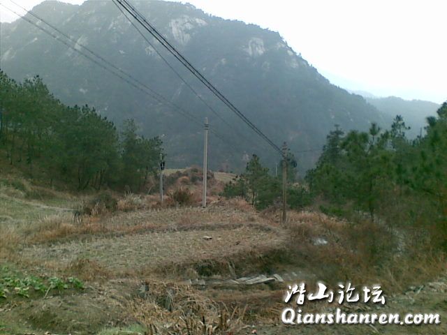 20090130(005).jpg