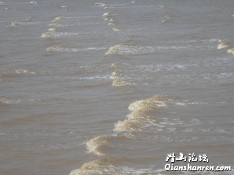DSCN0096.jpg