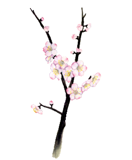 2.gif