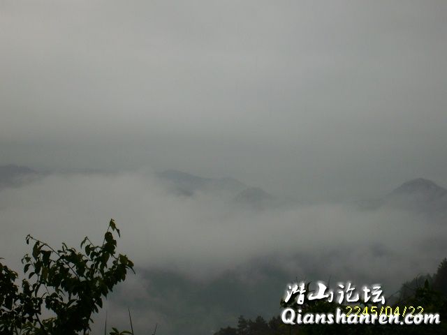 ALIM0678.JPG