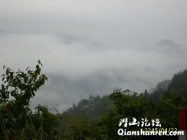 ALIM0679.JPG