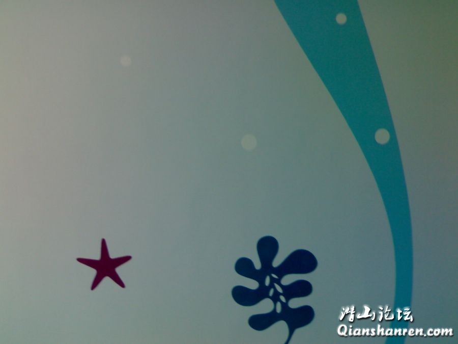 20090504676.jpg