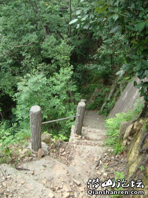 DSC01020.JPG