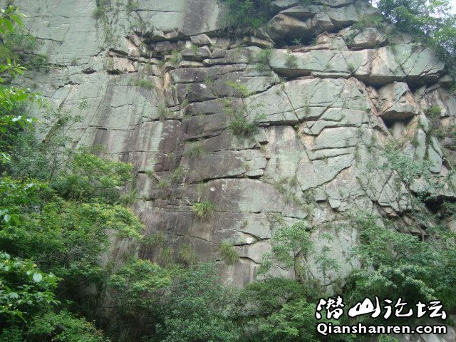 DSC00980.JPG