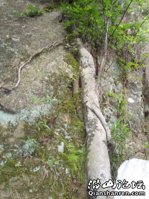 DSC01025.JPG