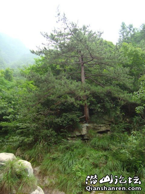 DSC00969.JPG