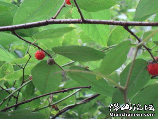 DSC01086.JPG
