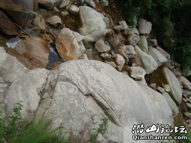 DSC01093.JPG