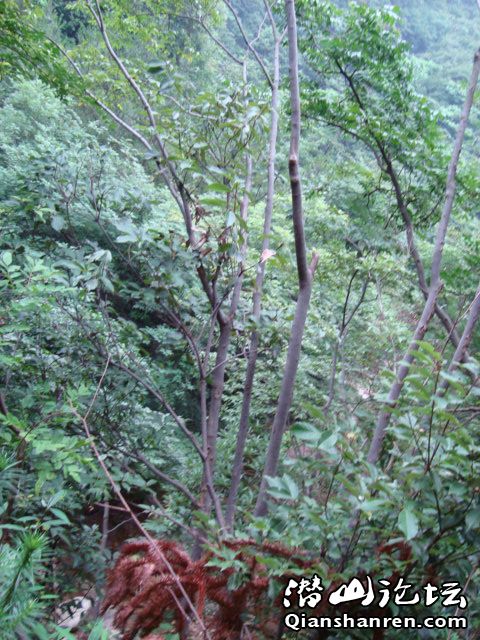DSC01091.JPG