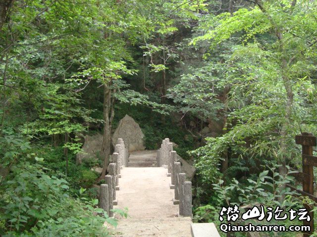 DSC01058.JPG