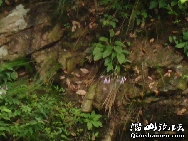 DSC01118.JPG