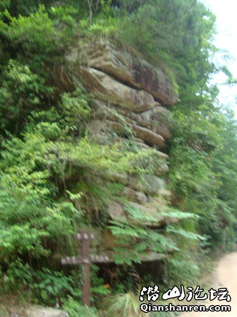 DSC01135.JPG