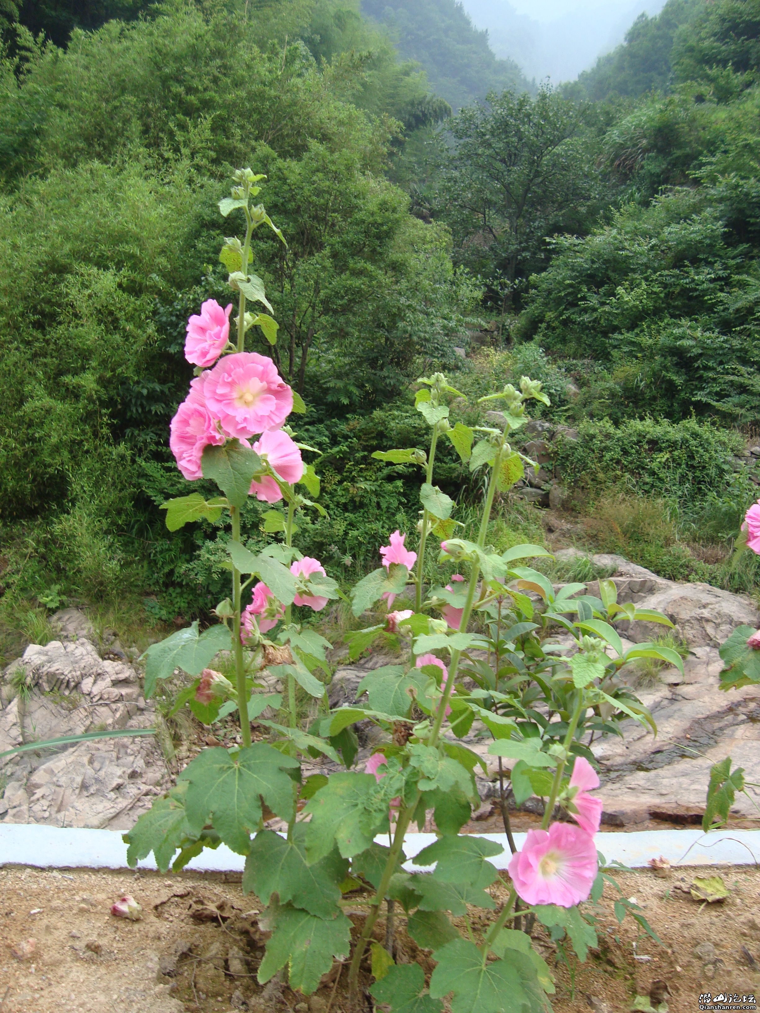 DSC01126.JPG
