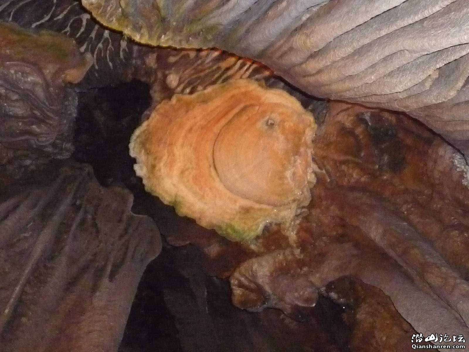 P1000857.JPG