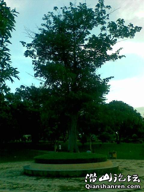 20090711(011).jpg