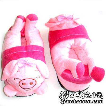 2008111615253pic.jpg