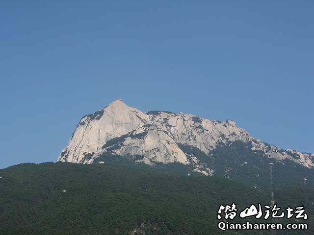 IMG_0091.jpg