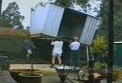 17.gif