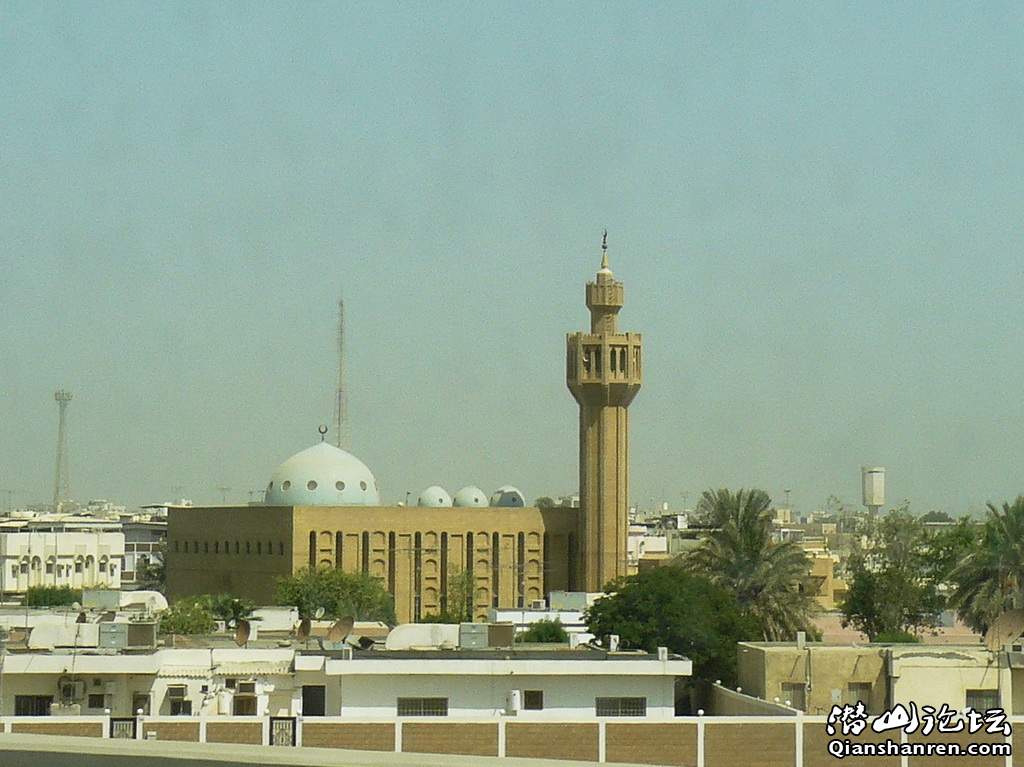 P1030168.jpg