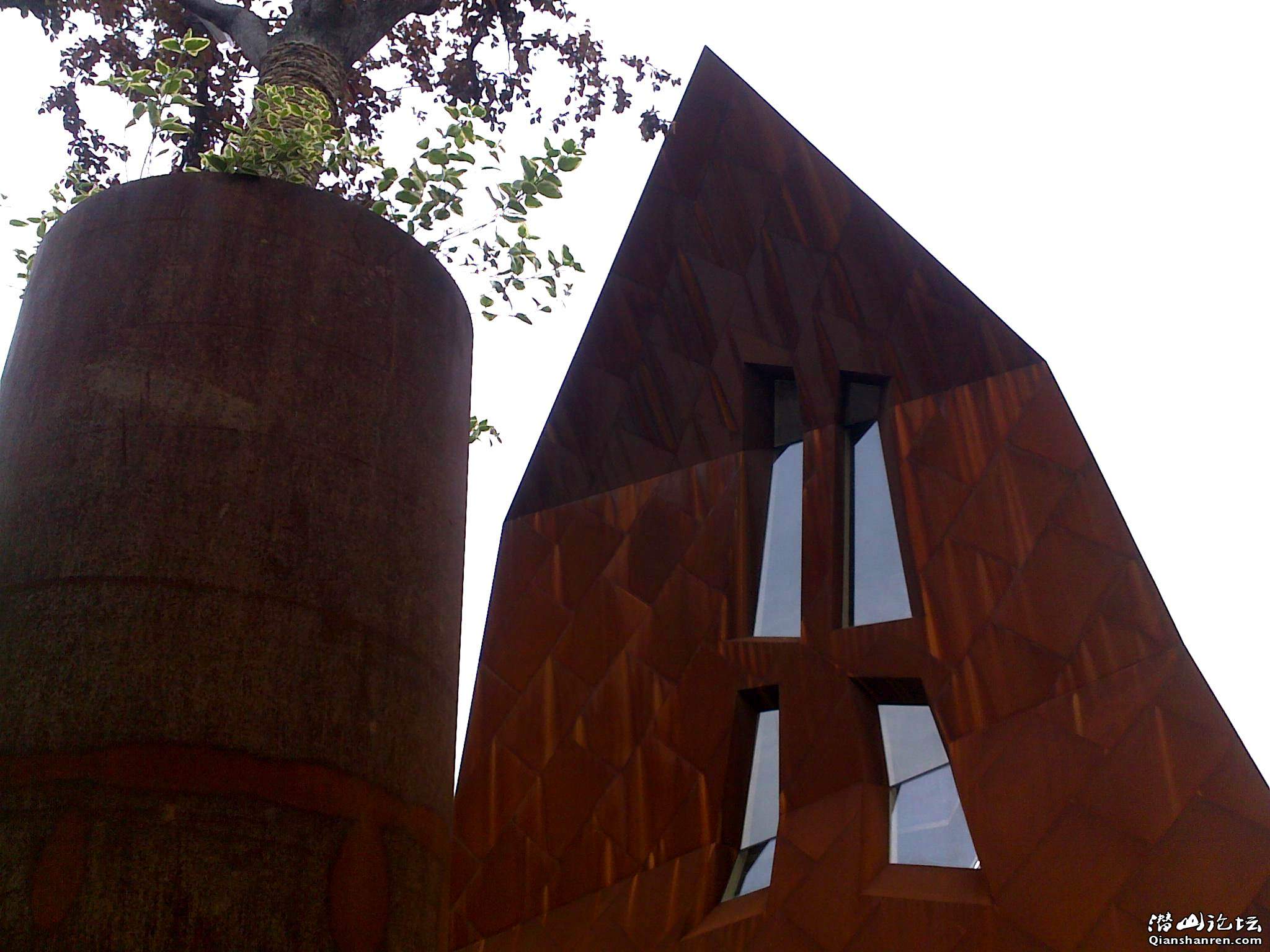 ع 20100425399.jpg