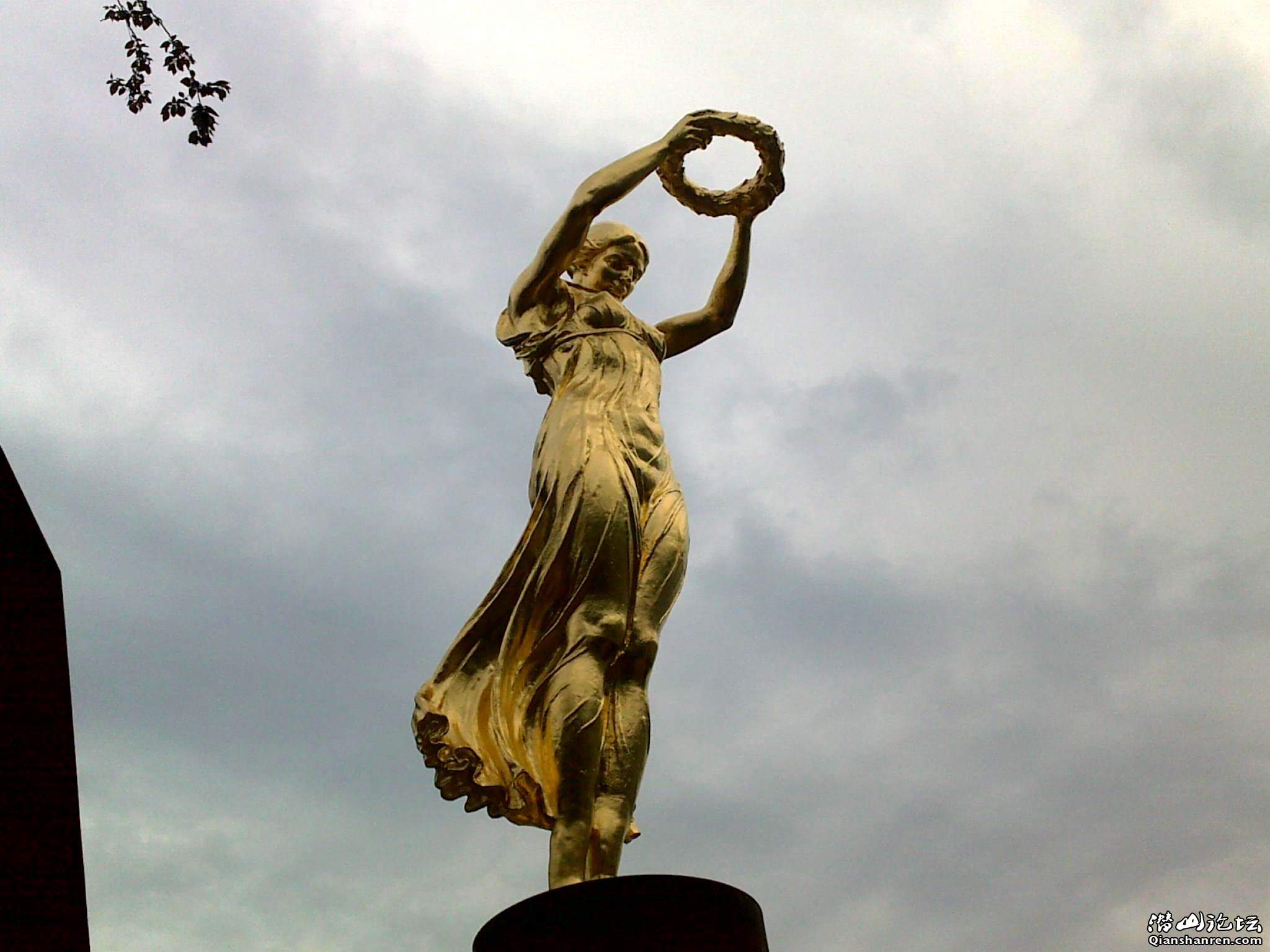 ع 20100425398.jpg