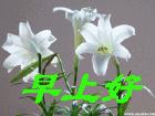 u=2282302167,2269484166&fm=0&gp=0.jpg