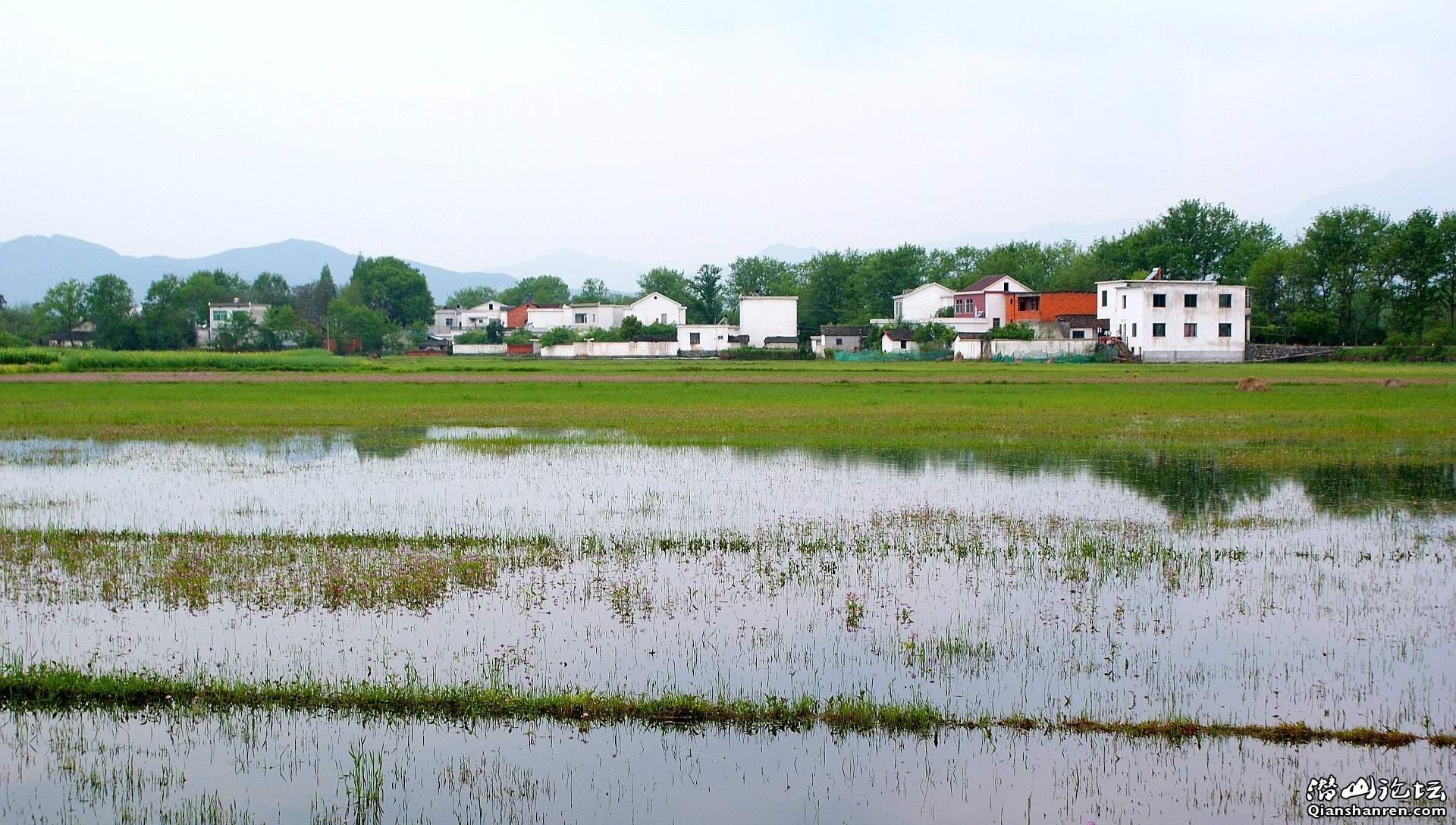 DSC03355_conew1.jpg