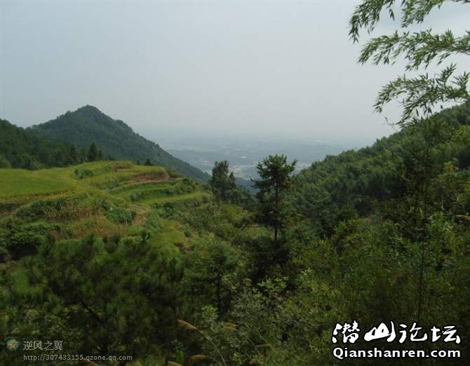 ����ҽв��������� 